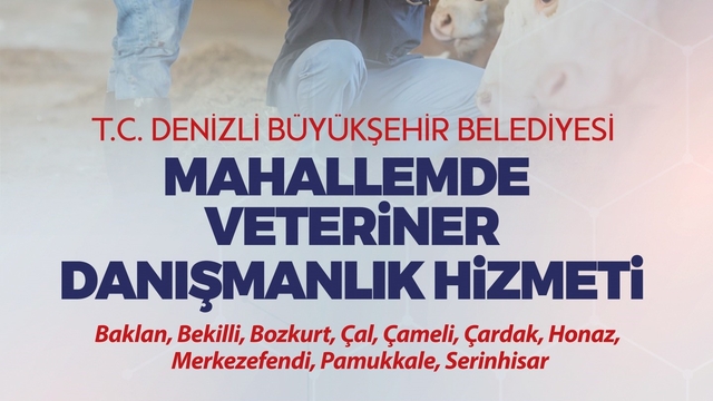 Denizli'nin veteriner danışmanlık hizmeti projesinde yeni dönem başlıyor