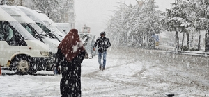 Ahlat’ta nisan karı etkili oldu