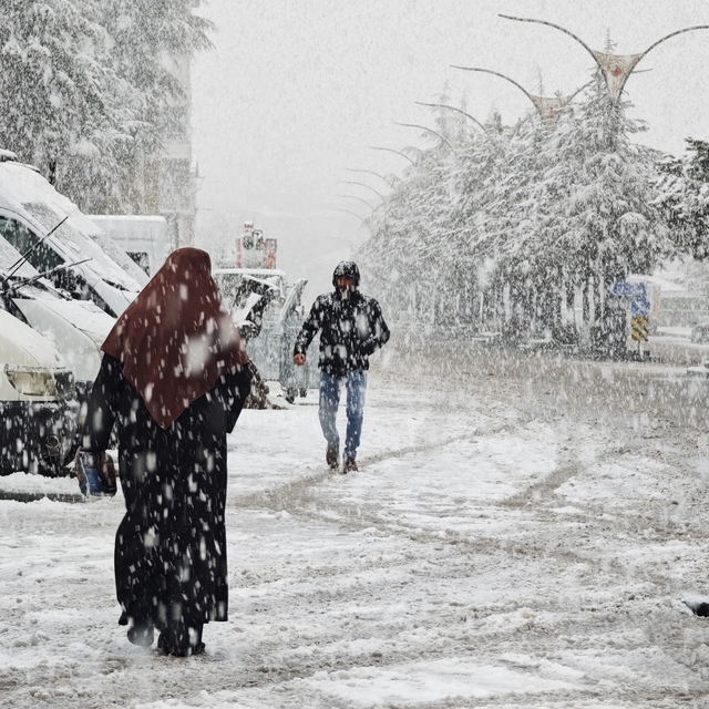 Ahlat'ta nisan karı etkili oldu