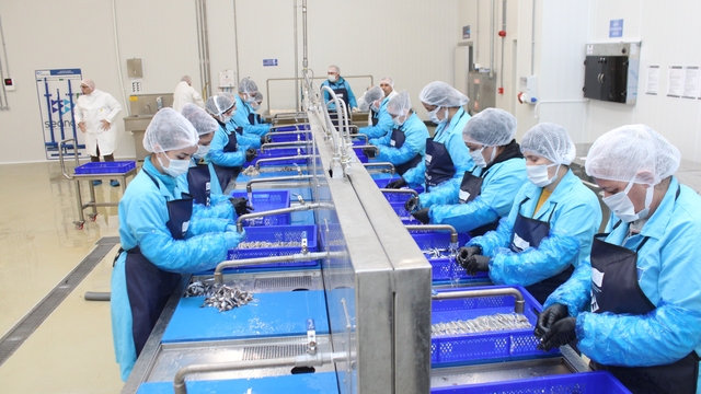 Kadın emeğiyle yükselen değer: Sinop lakerdası markalaşma yolunda
Sinop lakerdasını ekonomiye kazandıran tesis kadınlara istihdam sağlıyor