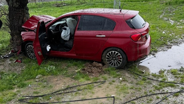 Siirt'te ağaca çarpan otomobilin sürücüsü yaralandı