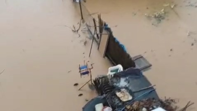 Siirt'te sağanak nedeniyle dere taştı, ev ve arazileri su bastı