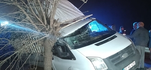 Kamyonet şarampolde ağaca çarptı: 1 yaralı