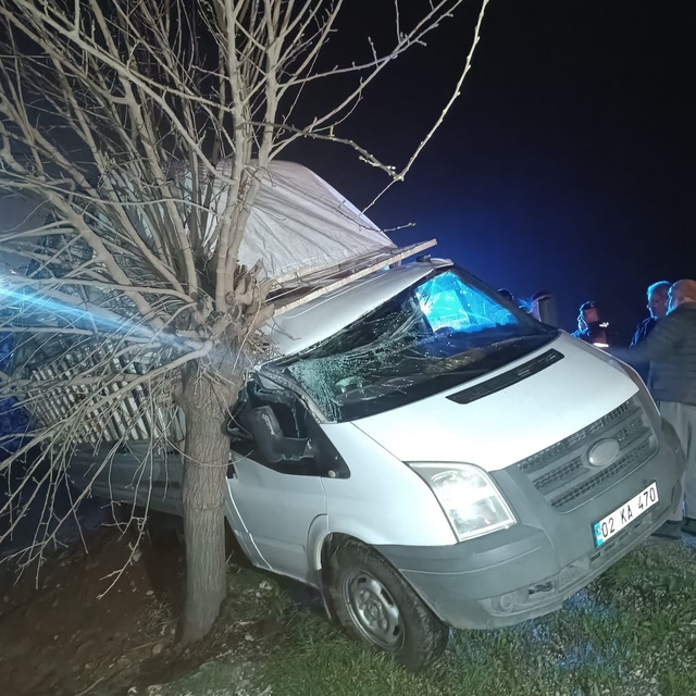 Kamyonet şarampolde ağaca çarptı: 1 yaralı