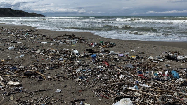 Sinop'ta şiddetli rüzgar sonrası sahilin bir bölümü çöple kaplandı
