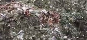 Kocaeli'de nisan ayında kar sürprizi