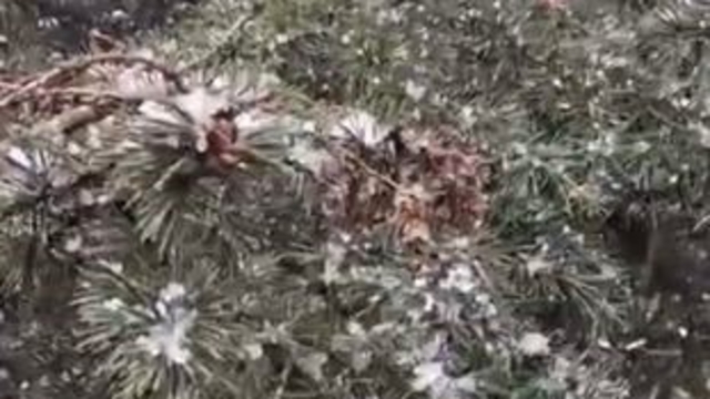 Kocaeli'de nisan ayında kar sürprizi