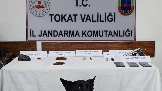 Tokat'ta jandarmadan zehir tacirlerine operasyon: 5 gözaltı