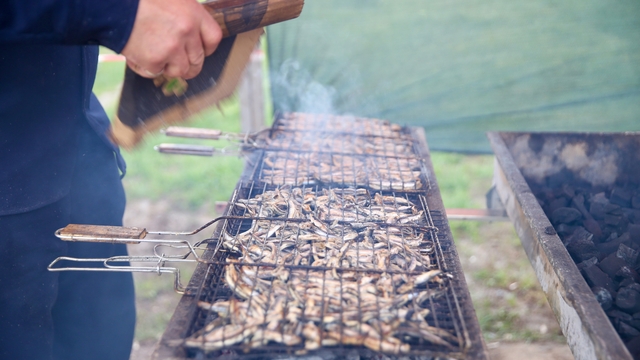 Kocaeli'de festivalde 5 ton hamsi dağıtıldı