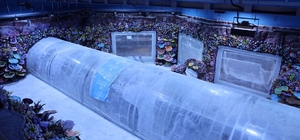 Kocaeli'de su altında dünya turu başlıyor: 30 farklı akvaryumla eşsiz gezi