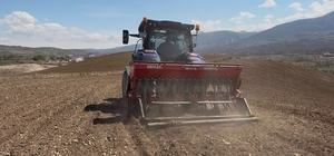 Akıncılar Belediyesi, nohut tohumlarını toprakla buluşturdu