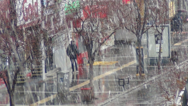 Meteoroloji uyardı: Kars'ta kar yağışı başladı
