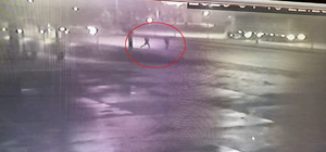 Yola düşen telefonunu almak isterken otomobilin çarptı