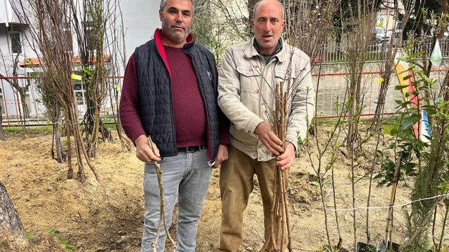 Buldan'ın bereketli toprakları fidanlarla canlanıyor