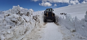 Kars'ta kardan kapanan köy yolları açılıyor