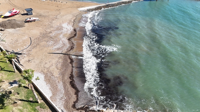 Alanya'da sahildeki siyah tabaka önce  tedirgin etti, gerçek sonradan ortaya çıktı
Prof. Dr. Gökoğlu:
"Gördüğümüz siyahlıklar deniz çayırlarının yaprakları. Posidonia denizlerin amazon ormanlarıdır"
"Görüntünün tam aksine suyun kirliliğini değil temizliğini gösterir"