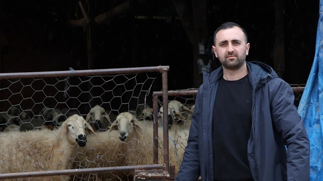 Devlet desteğiyle 20 koyunla başladığı hayvancılıkta sürüsü 400 başa ulaştı