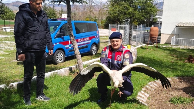 Yozgat'ta yaralı bulunan leylek tedaviye alındı