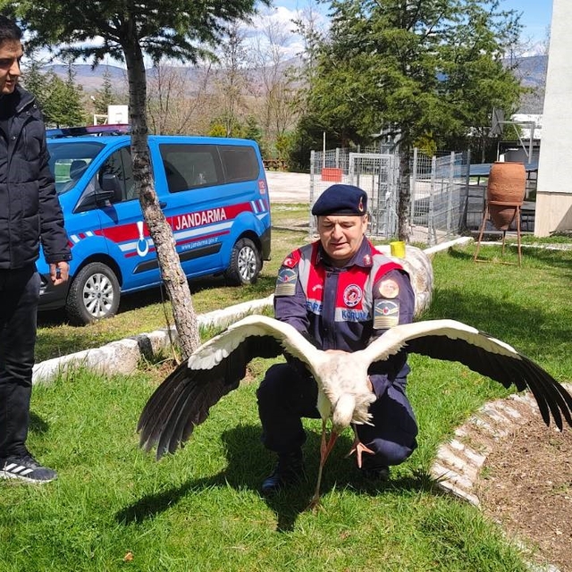 Hasta leylek koruma altına alındı