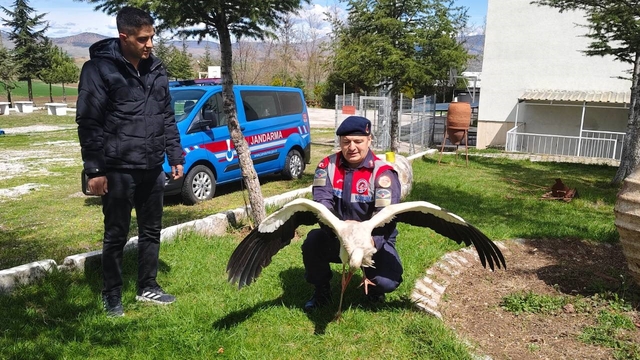 Hasta leylek koruma altına alındı