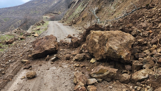 Karakoçan'da toprak kayması