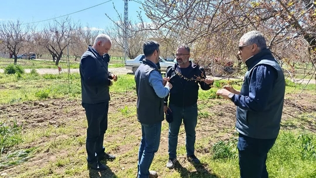 Baskil'de kayısı bahçelerinde teknik inceleme yapıldı