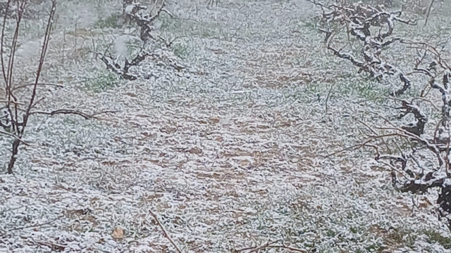 Keban'da kar yağışı etkili oldu