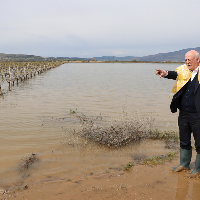 TZOB Genel Başkanı Bayraktar, İzmir'de aşırı yağışlardan etkilenen bölgeler...