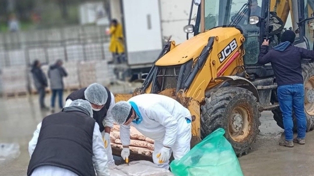 Sakarya'da 32 ton son tüketim tarihi geçmiş tavuk eti ele geçirildi