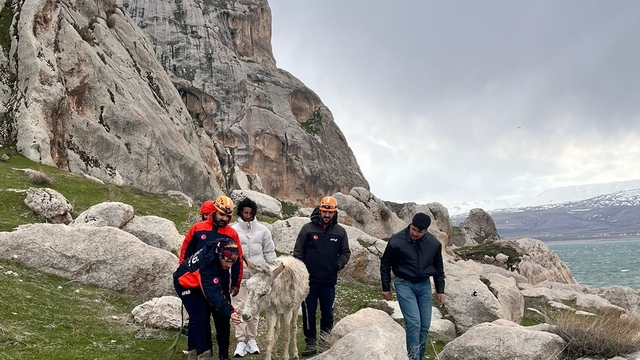 Van'da kayalıklarda mahsur kalan eşek kurtarıldı