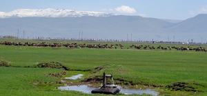 Tarımda önder üretici modeli vurgusu