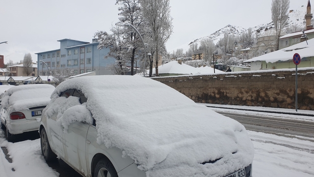 Van Başkale'de kar yağışı