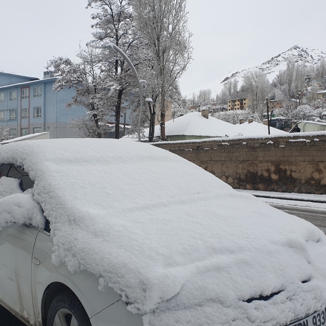 Van Başkale'de kar yağışı