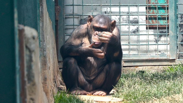 Gaziantep Hayvanat Bahçesi 3 ayda 1,5 milyonun üzerinde ziyaretçi çekti