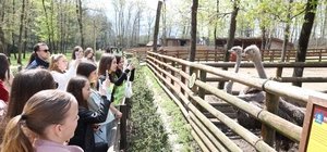 Batı Trakya'dan gelen 82 öğrenci Kocaeli'de ağırlandı