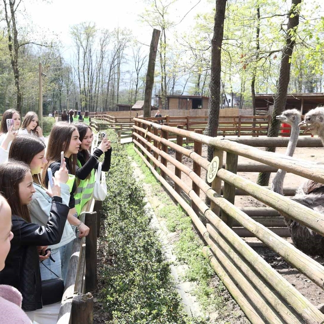 Batı Trakya'dan gelen 82 öğrenci Kocaeli'de ağırlandı