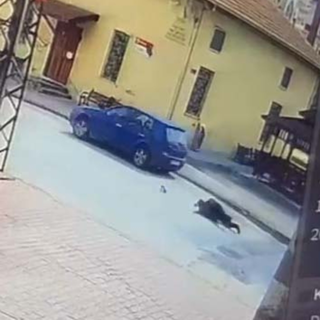 Camiye giderken otomobilin çarptığı yaya yaralandı; kaza kamerada