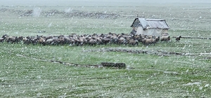 Muş’ta nisan karı etkisini sürdürüyor: 22 köy yolu ulaşıma kapandı
