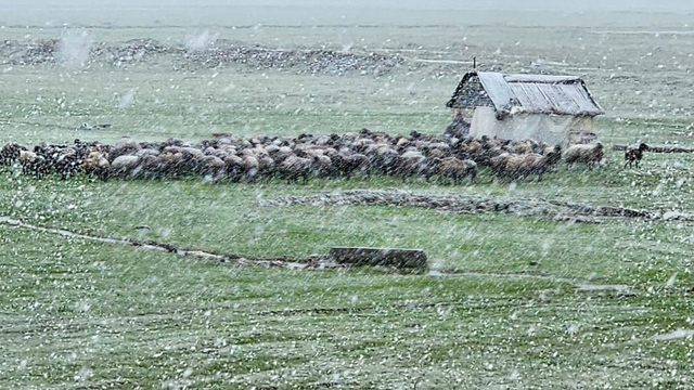 Muş'ta nisan karı etkisini sürdürüyor: 22 köy yolu ulaşıma kapandı