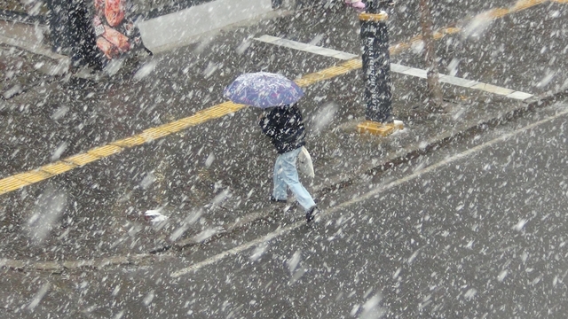 Kars'a kar biranda geldi her taraf bembeyaz oldu