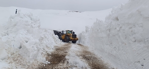 Hakkari'de 46 yerleşim yolu ulaşıma kapandı
