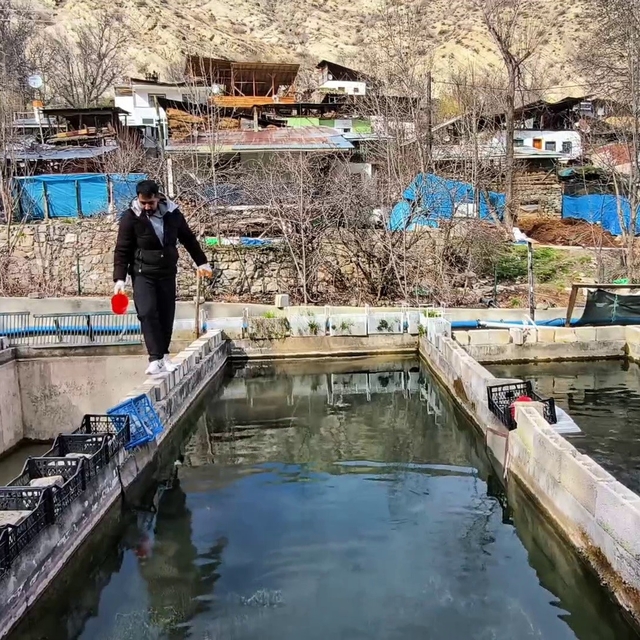 300 bin balık telef oldu; Genç girişimci ayakta kalma mücadelesi veriyor