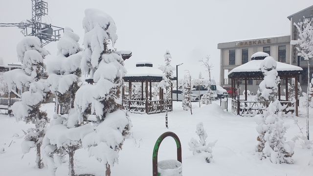 Başkale'de kar yağışı