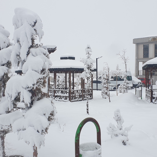 Başkale'de kar yağışı