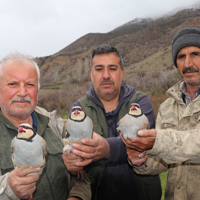 Atadan toruna kalan miras:  "Baskın keklik" yöntemiyle dev envanter
Oltu'da...