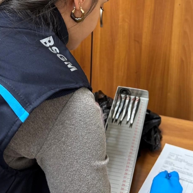 Kırklareli'nde hamsi denetimleri sürüyor