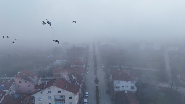 Kastamonu'da yoğun sis
