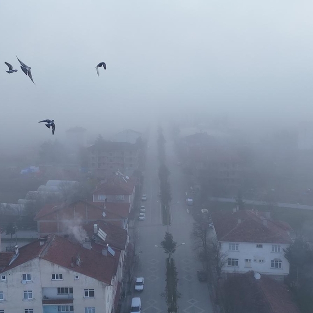 Kastamonu'da yoğun sis