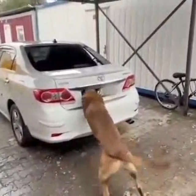 Diyarbakır'da 6 kilo kokain ele geçirildi; 1 tutuklama