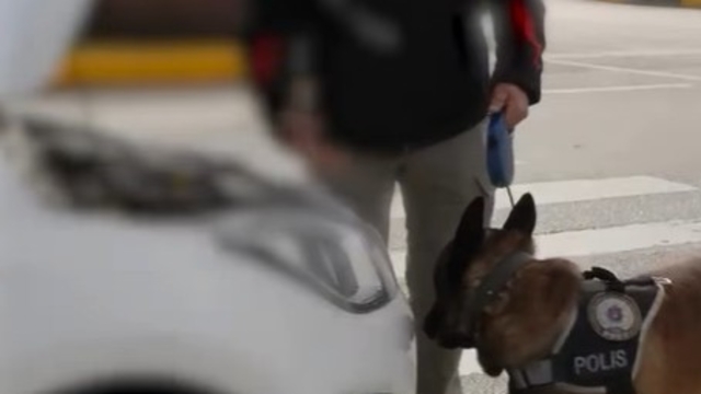 Isparta'da 1 haftalık narkotik operasyonlarında 4 şüpheli tutuklandı